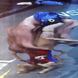 625 Zeilen in 10 Sekunden