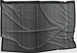 Sarah Katharina Feilmayr